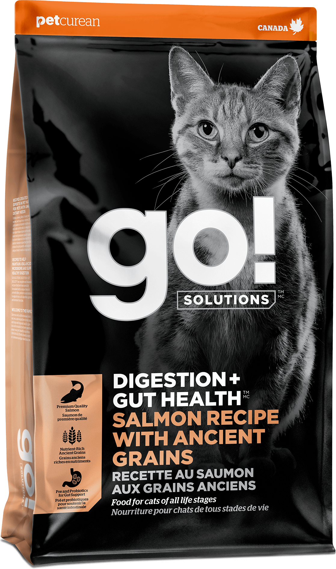 GO! Solutions Digestion + Gut Health Salmon Recipe With Ancient Grains